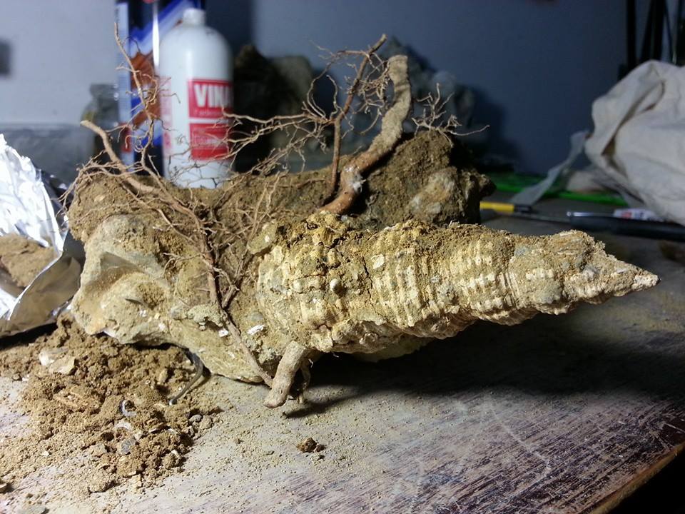 Un pezzo veramente particolare